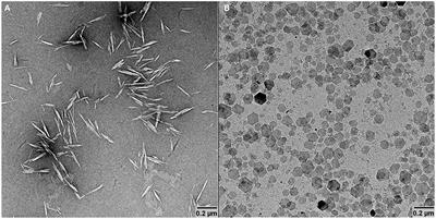 Hybrid Gibbsite Nanoplatelet/Cellulose Nanocrystal Multilayered Coatings for Oxygen Barrier Improvement